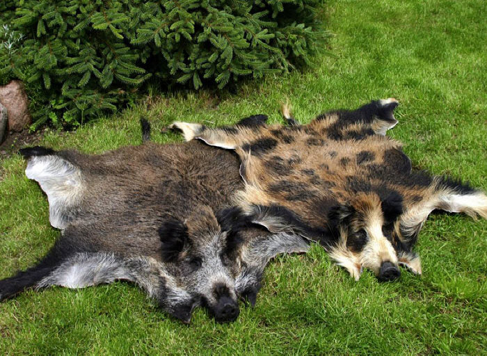 Сurtiduría piel de oveja natural alfombra fabricante al por mayor Polonia